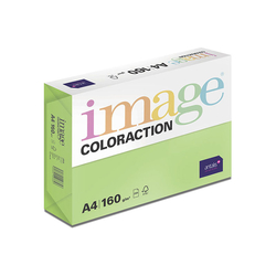 Xerografický papír  Coloraction  160g A4 Java středně zelená