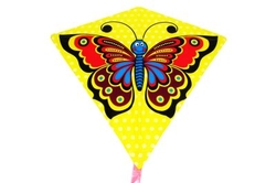 Drak motýl 119213