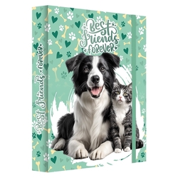 Box na sešity A4 Jumbo MAX S9 Best Friends Forever