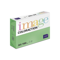 Xerografický papír  Coloraction  160g A4 Dublin sytá zelená