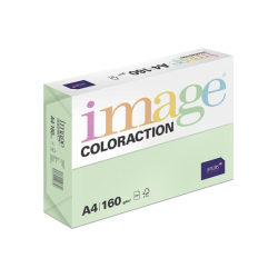 Image Coloraction 80 g / A4, Forest  100ks