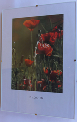 Fotorámeček klip 21x29,7 CF129.7
