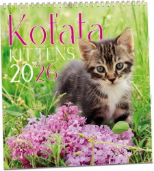 KN317 - Kalendář Koťata 2026