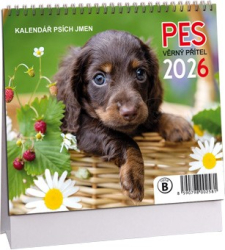 K767 - Kalendář Pes - věrný přítel mini 2026