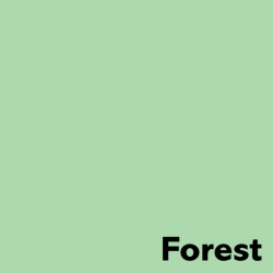 Xerografický papír  Coloraction  160g A4 Forest pastelově zelená