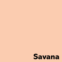 Xerografický papír  Coloraction  80g A4 Savana meruňková