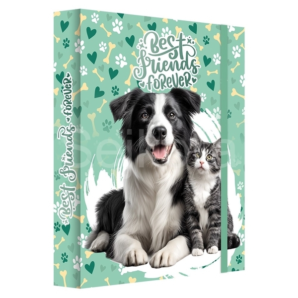 Box na sešity A4 Jumbo MAX S9 Best Friends Forever