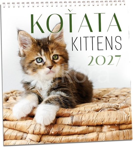 Kalendář Koťata 2027