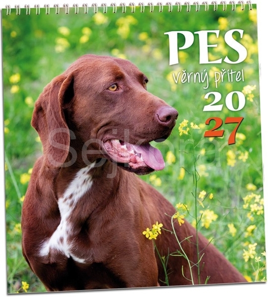 Kalendář Pes - věrný přítel