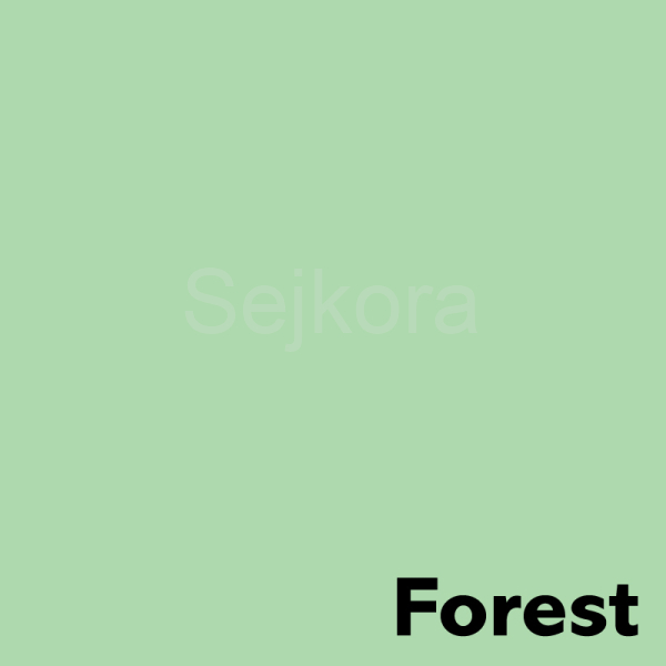 Xerografický papír  Coloraction  80g A4 Forest pastelově zelená