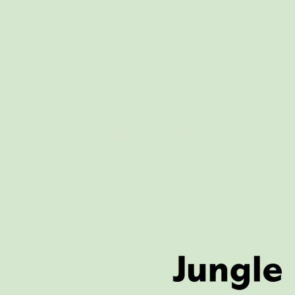 Xerografický papír Image Coloraction  A4 80g Jungle 