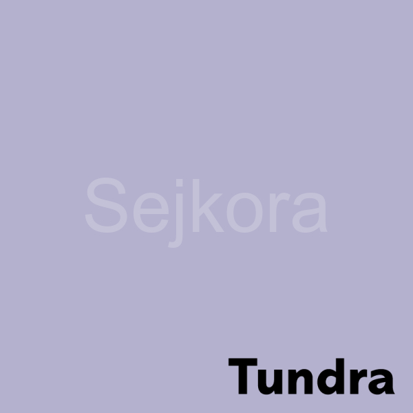 Xerografický papír Coloraction A4/160g Tundra pastelově fialová